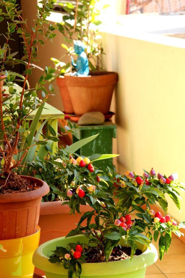 Appartement Diaz Cagliari